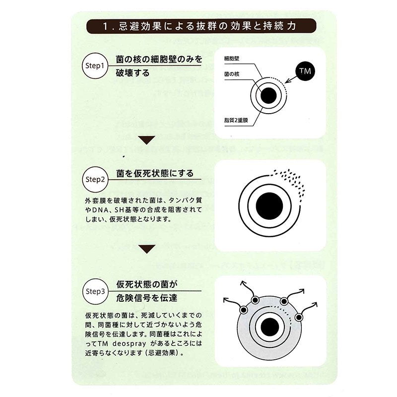 TMデオスプレー 【 革製品対応除菌スプレー 】
